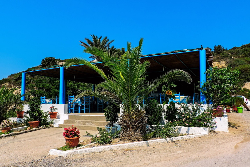 tavern, clear sky, palm tree, blue, architecture, exciting, luxury, growth, nature, tropical climate, plant, local typical, potted plant, emotions, tree