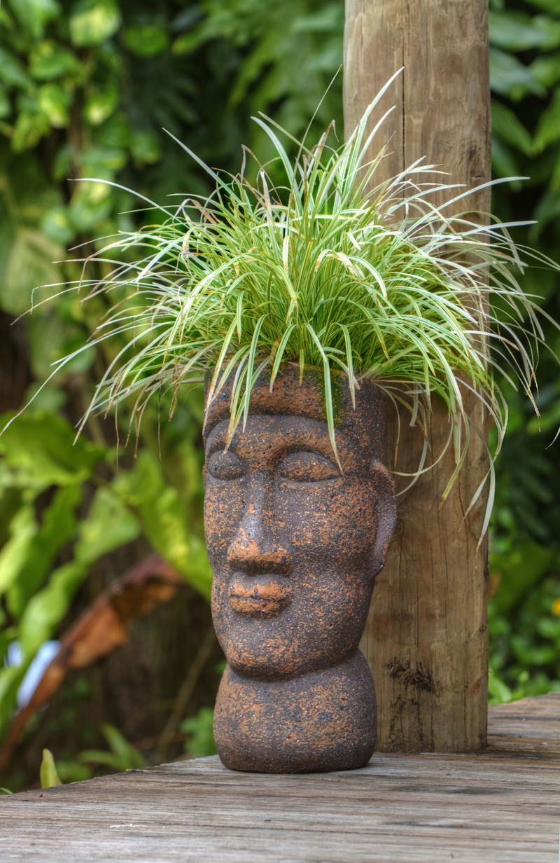 nature, green Color, wood - material, no people, 4K, polynesian, tropical, pot head, statue, front or back yard, representation, focus on foreground, art and craft