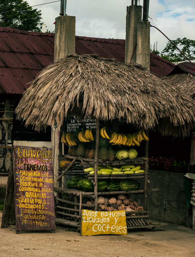 day, retail display, rack, fruits, plant, variety, shack, text, food, sale, retail, totem, architecture, tire, thatched roof, hut, building exterior, 4K