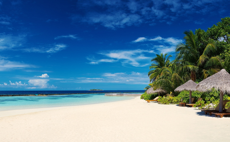 tree, sky, Beach, cloud - sky, gray, horizon over water, palm, trees, plant, turquoise colored, palm tree, three, scenics - nature, 2K, tranquil scene