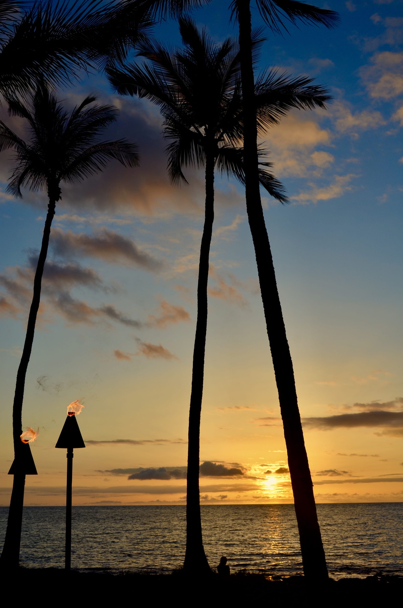 beauty in nature, tranquility, united states, horizon over water, clouds, tiki torch, puako, cloud - sky, beach, outdoors, sky, ocean, 4K, palm tree, silhouette