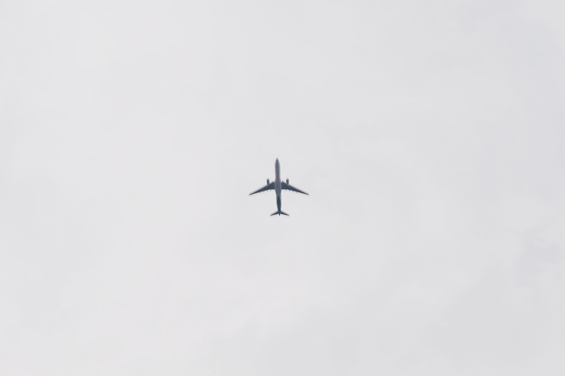 mood, fujifilm, transportation, fly, directly below, motion, nature, animal themes, gray, sky, air vehicle, animal, flying, outdoors, plane, travel, gloomy