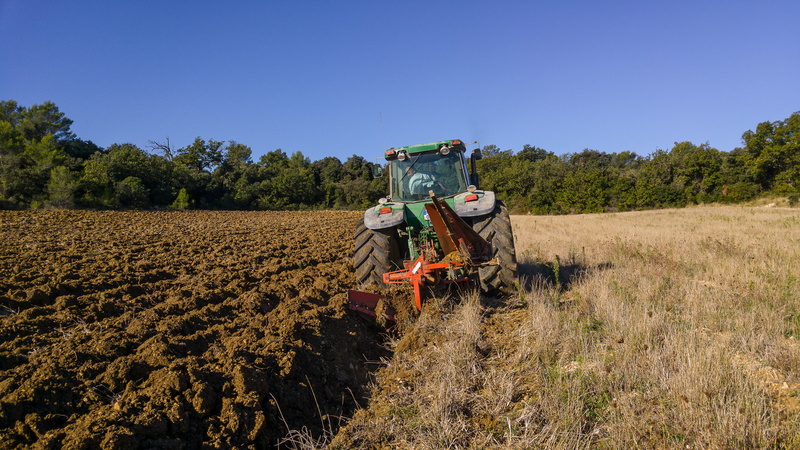 field, farm, mode of transportation, landscape, agricultural equipment, adult, agricultural machinery, land, rural scene, outdoors, crop, land vehicle