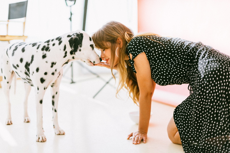 5K, cute, polka dots, dalmatian, dog, breed, domestic, people, wear, pet, black, pretty, domestic animals, sit, canine, woman, animal, pets, spotted, looking