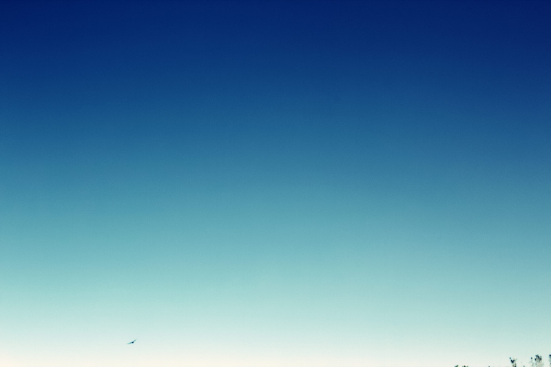 above, sky, copy space, scenics - nature, low angle view, sunny, backgrounds, mid-air, tranquil scene, nature, sunset, flying, full frame, united states