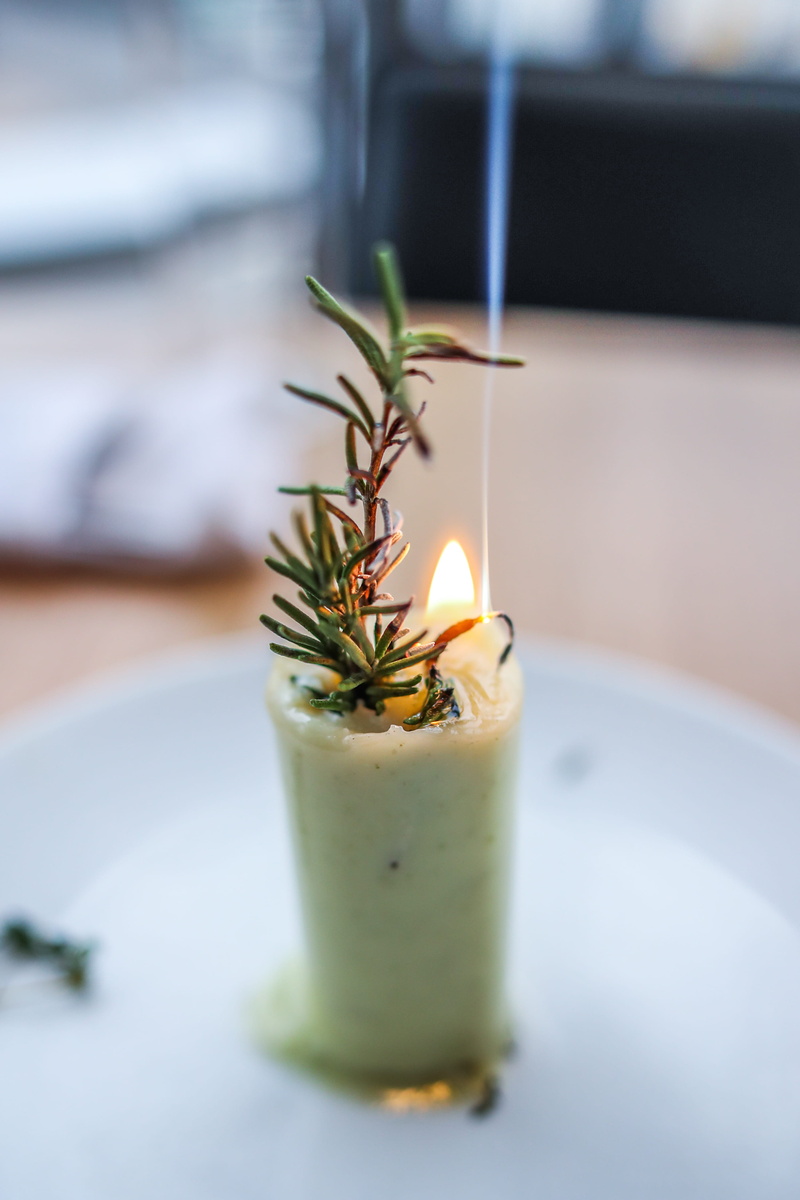 still life, focus on foreground, burning, food and drink, cow, decor, indoors, united states, tree, candlefat, garnish, resturant, potted plant, lit, plant