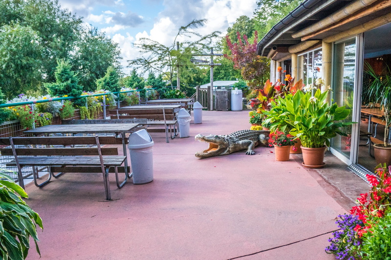 café, hdr, seat, flowerbed, no people, bench, outdoors, europe, dining, sweden, potted plant, 4K, architecture, stockholm, houseplant, day, flowering plant