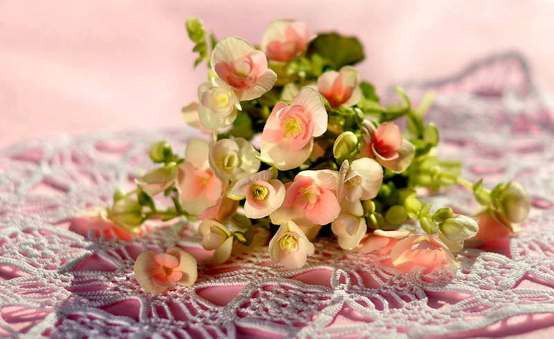 celebration, flowering plant, beauty in nature, photo, rose - flower, selective focus, 1080P, indoors, ornate, Flowers, Bouquet, wedding, flower, nature