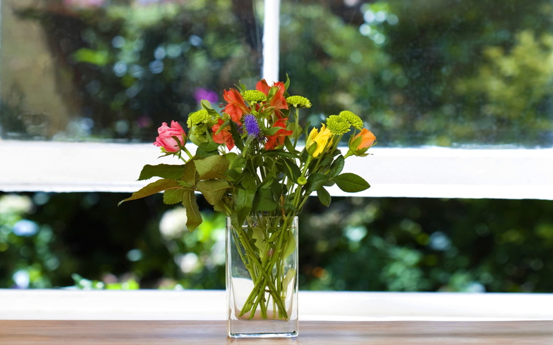 day, multi Colored, flower, blossom, fragility, green Color, summer, 2K, leaf, window sill, flower Head, decoration, flower arrangement, no People, rose
