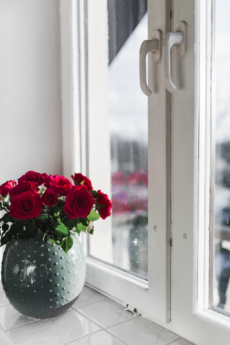 flower, freshness, home decor, gold, window, flower arrangement, close-up, vulnerability, flower pot, 5K, flower head, indoors, coffee, red, flowers, fragility