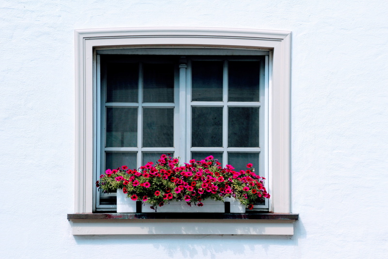 reflection, flower pot, built structure, facade, fragility, pane, growth, architecture, building exterior, red, deco, nature, no people, window frame, shutter