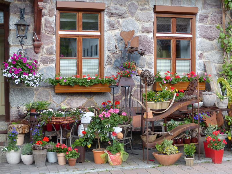 place, architecture, europe, building exterior, gardening, daytime, type, window box, color, retail, pots, facade, freshness, plant, beauty in nature, built structure