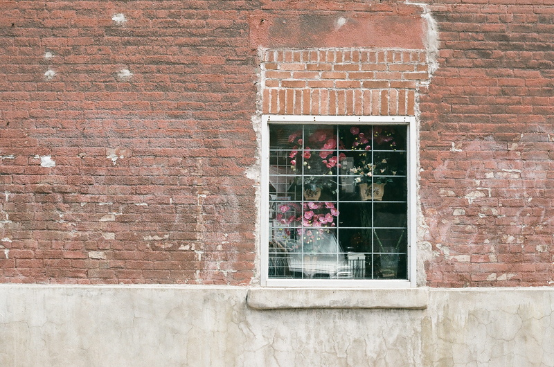 building exterior, exterior, full frame, brick wall, window, wall - building feature, glass - material, wall, glass, transparent, outdoors, day, reflection