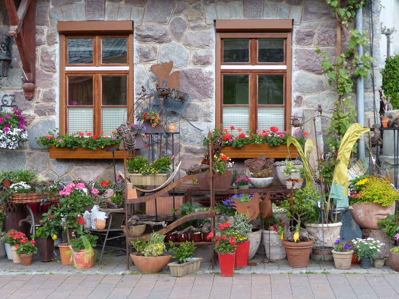 outdoor, no people, hauswand, facade, flowering plant, 4K, decoration, flower, day, flowers, retail display, europe, growth, shutter, residential district