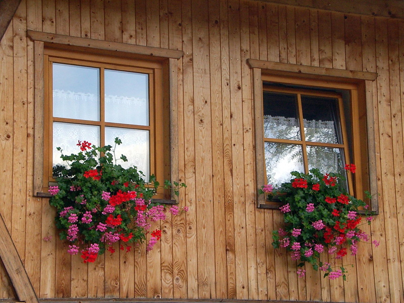 lace curtains, 1080P, wooden, window, brown, house, boxes, wooden house, geranium, 3d and abstract, window boxes