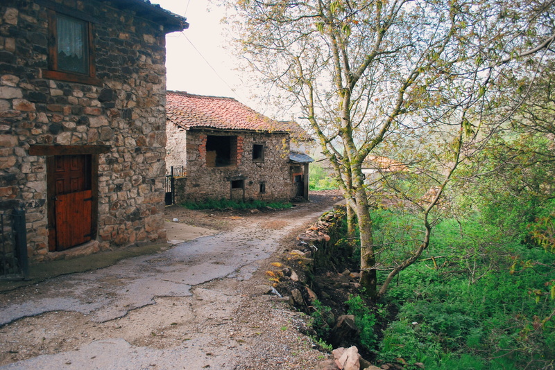 footpath, building exterior, rural, residential district, tree, building, house, architecture, the way forward, built structure, peaceful, 4K, stone buildings