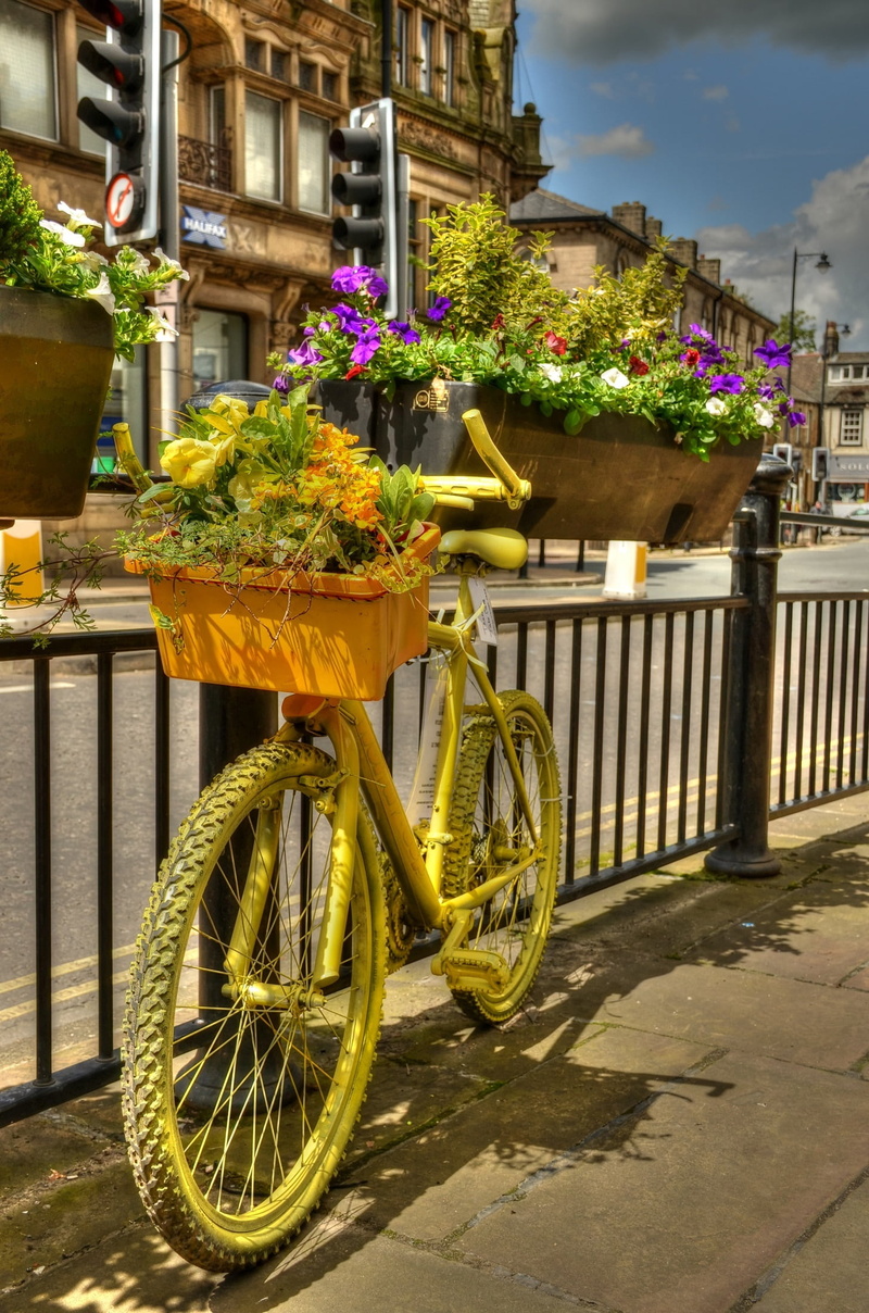 rail, yellow, land vehicle, floral display, bike, decoration, mode of transportation, transportation, street, outdoors, flowering plant, building, flowers