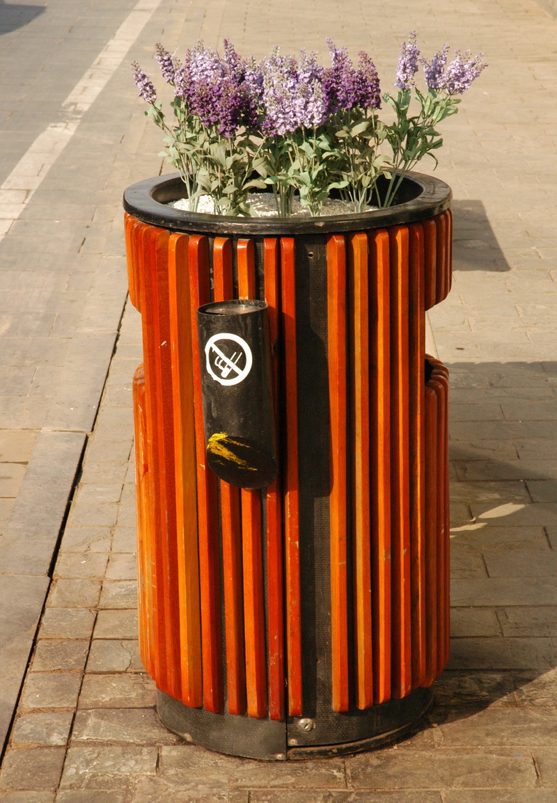 cans, flooring, flower arrangement, decoration, footpath, no people, nature, 2K, wood - material, day, shadow, flowering plant, dustbin, orange color