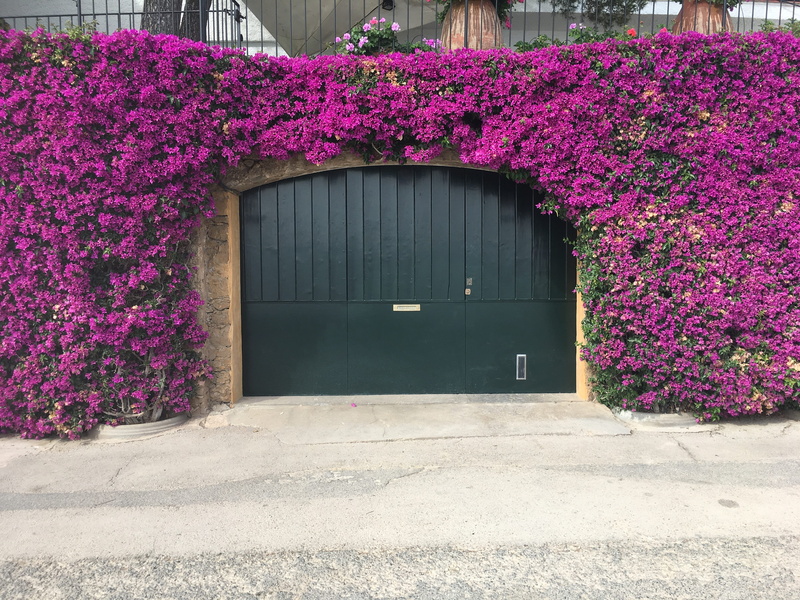 vulnerability, building, beauty in nature, building exterior, nature, flowering plant, closed, growth, entrance, flower, 4K, Gate, fragility, purple, no people