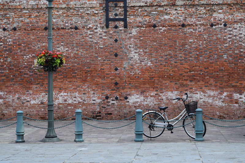 window, outdoors, mode of transportation, 5K, transportation, land vehicle, flowering plant, plant, hakodate, architecture, brick, city, day, built structure