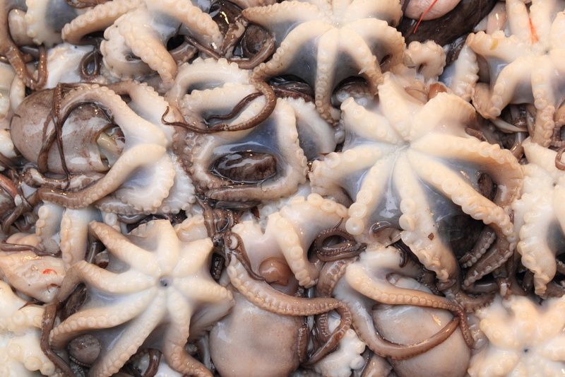 large group of objects, no people, for sale, fishing industry, raw food, abundance, backgrounds, food, outdoors, animal, close-up, wellbeing, chinese food
