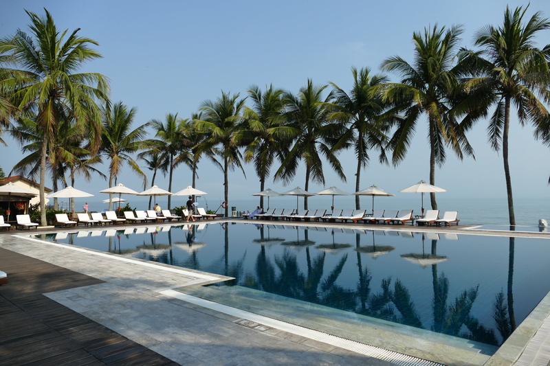 coconut palm tree, beauty in nature, hoian, parasol, lounge chair, tranquility, swimming pool, palm, south east asia, beach, swim, summer, swimming, 5K