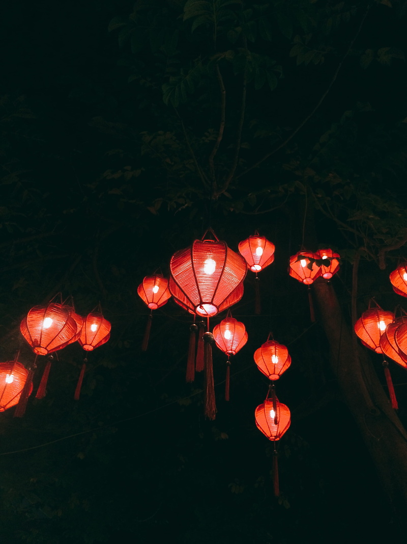 paper, festival, tree, lanterns, red, hanging, trees, dark, decoration, celebration, lantern, no people, green, 2K, chinese lantern festival, lighting equipment