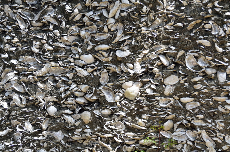 stone - object, large group of objects, structures, outdoors, solid, edifice, historic, backgrounds, stone, material, st augustine, day, florida, abundance