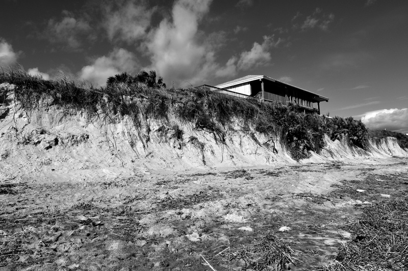plant, wreck, weather, catastrophe, built structure, outdoors, clouds, sky, beauty in nature, florida, tropical climate, 5K, environment, cloud - sky
