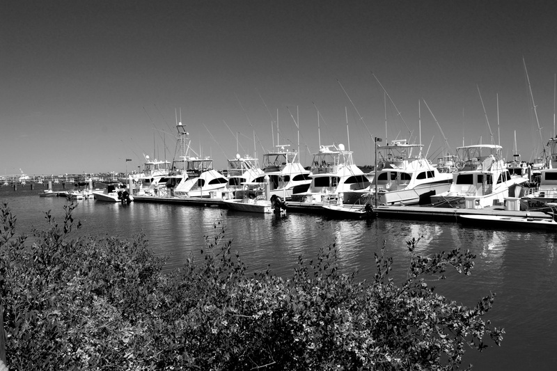 nautical vessel, mode of transportation, boats, transportation, sea, sailboat, maritime, water, copy space, coastline, yacht, marina, moored, boat marina