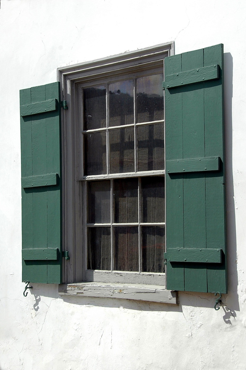 Vintage, entrance, style, Window, facade, historic, wooden, shop, wood - Material, architecture, background, green color, nature, door, business, house