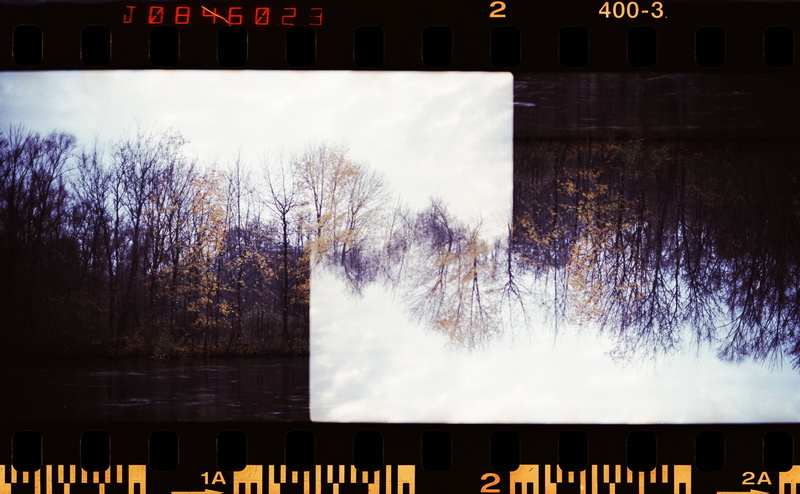 branch, outdoors, grain, cloud - sky, Forest, text, photography, lake, bare tree, reflection, 4K, plant, no people, sky, nature, tree, Trees, western script