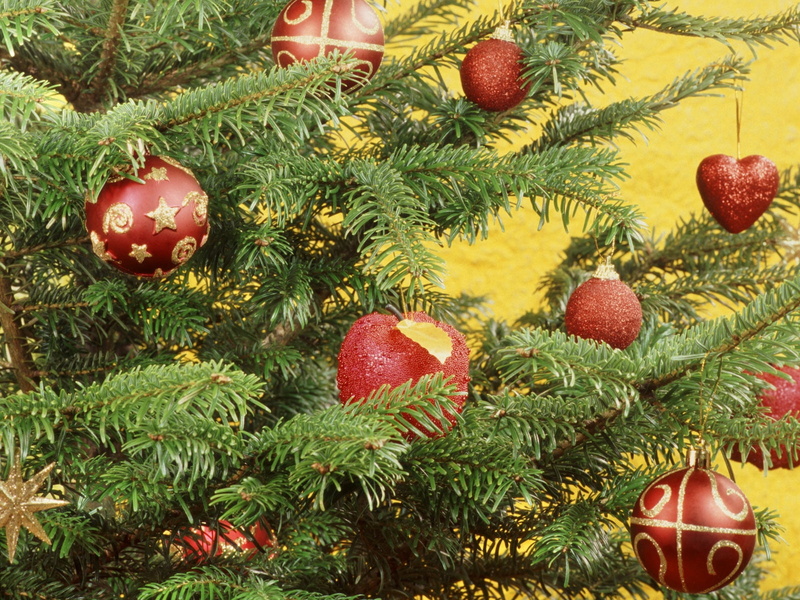 green Color, ornaments, religion, decorating, plant, ornate, close-up, year, nature, food and drink, christmas Tree, gift, holiday, christmas, evergreen Tree