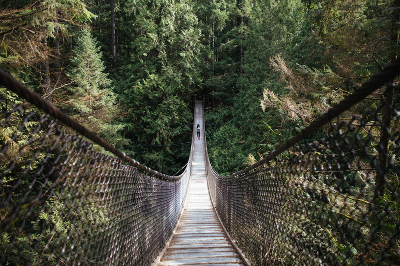 architecture, tree, railing, person, summer, travel, walking, diminishing perspective, 2K, young, landscape, built structure, no people, bridge - man made structure