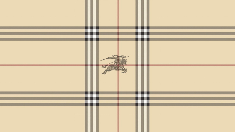 invertebrate, studio shot, pattern abstract lines burberry, close-up, backgrounds, one animal, arthropod, striped, 1080P, animal themes, no people, copy space