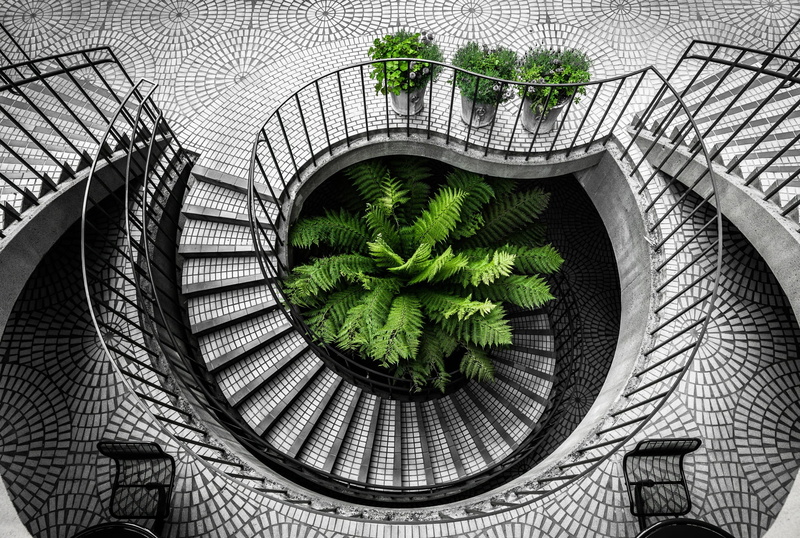 stairs, nature, 1080P, artistic conception, pattern, beside, stair, growth, san francisco, day, lou, plant part, no people, green, leaf, directly below