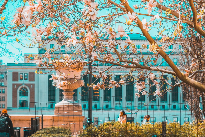 adult, incidental people, building exterior, 2K, built structure, person, library, architecture, growth, springtime, united states, human, freshness, outdoors