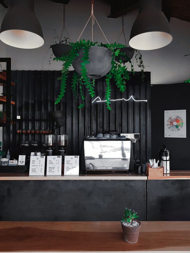 lighting, home interior, domestic room, houseplant, jar, mexico, lighting equipment, shelf, indoors, hanging, interior design, restaurant, vine, no people