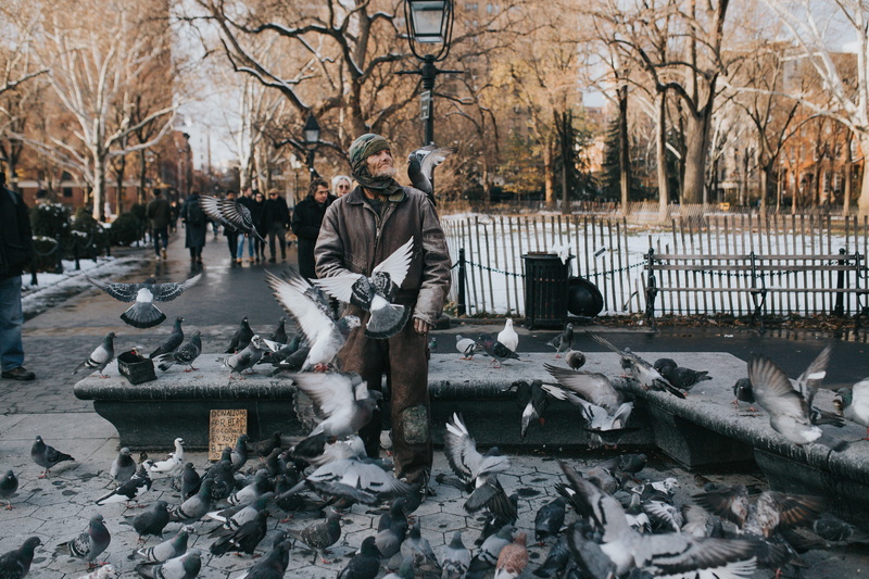 surrounded, vertebrate, day, bare tree, animal, cold temperature, homeless, real people, arch, candid, group of animals, birds, bird, men, greenwich, river