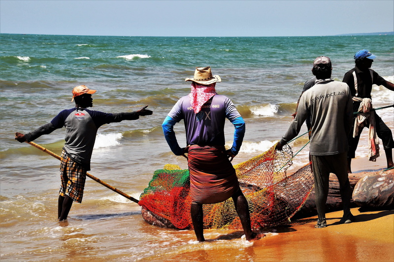 rear view, sport, young, horizon, adult, group of people, group, network, rope, cap, the fisherman, event, scene, the waves, sri lanka, nature, outdoors