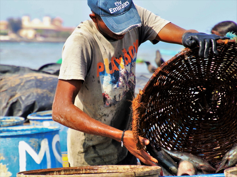 the existence of, life, cap, sri lanka, man, fishing industry, problematic, beach, real people, three quarter length, adult, documentary, quality of life