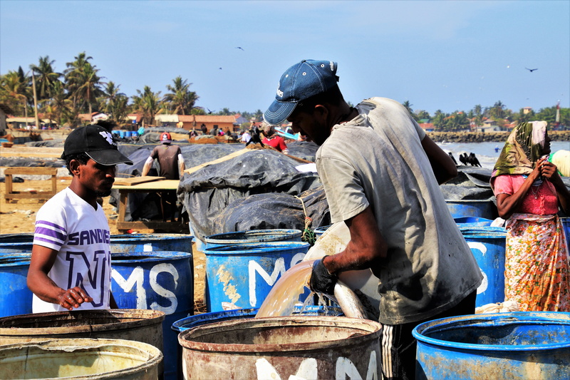 barrel, casual clothing, group of people, beach, boxes, poverty, fish market, lifestyles, nature, sitting, day, male, portrait, real people, the style of the country