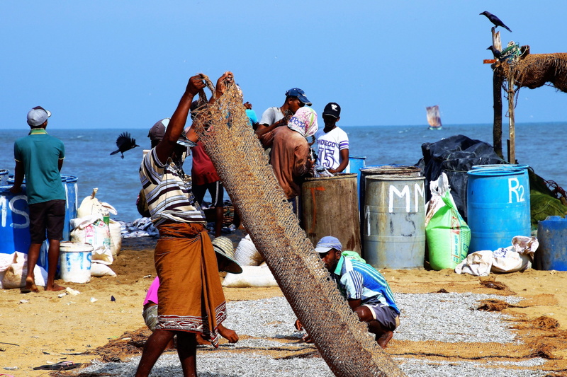 day, the existence of, men, characters, standing, boiling hot, lifestyles, container, sand, at the court of, real people, work, vertebrate, 5K, a fishing village