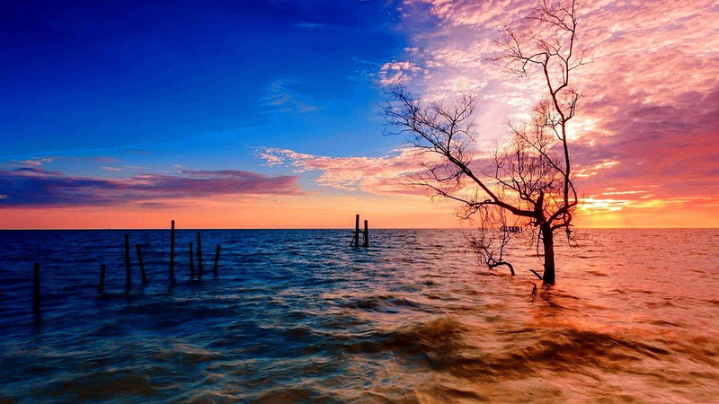 wooden post, cloud - sky, 1080P, water, penang, tree, sky, outdoors, tranquil scene, idyllic, blue, beauty in nature, tranquility, land, sunset, orange color