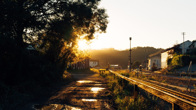 the way forward, sunlight, train, built structure, no people, architecture, railroad track, tree, rail transportation, direction, street, portugal, train station