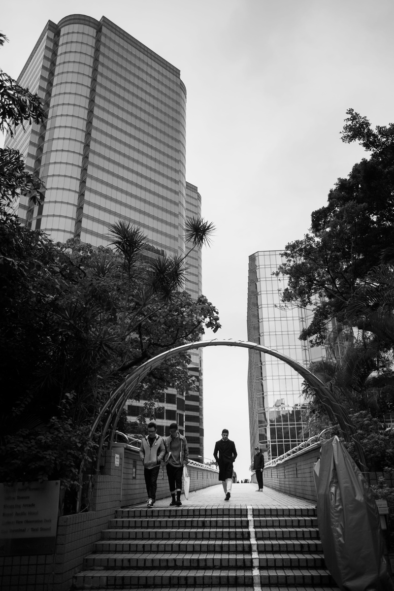 asia, group of people, building, city, nature, outdoors, blackandwhite, hong kong, real people, men, people, windows, women, building exterior, tree, man