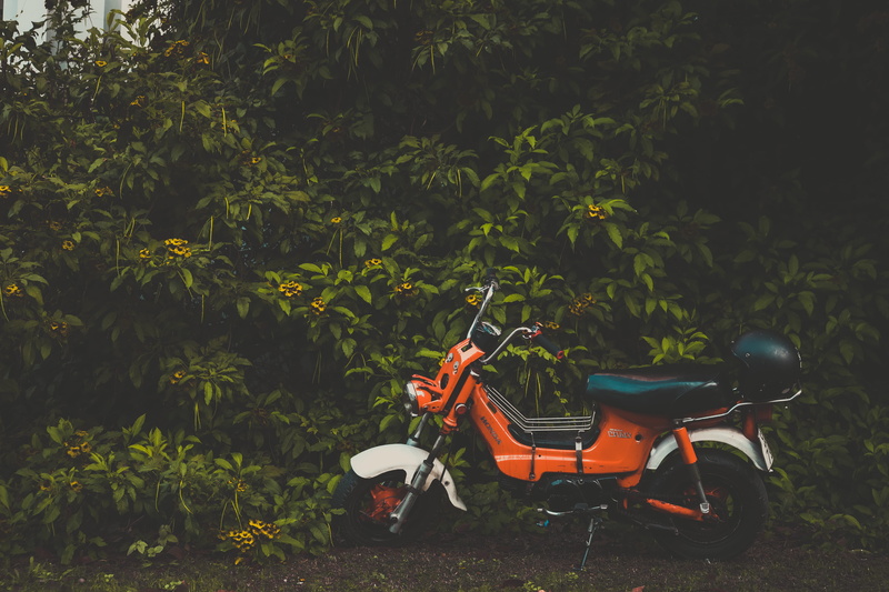 red, nature, growth, seat, outdoors, no people, day, land vehicle, orange color, green color, vietnam, mode of transportation, tree, transportation, land