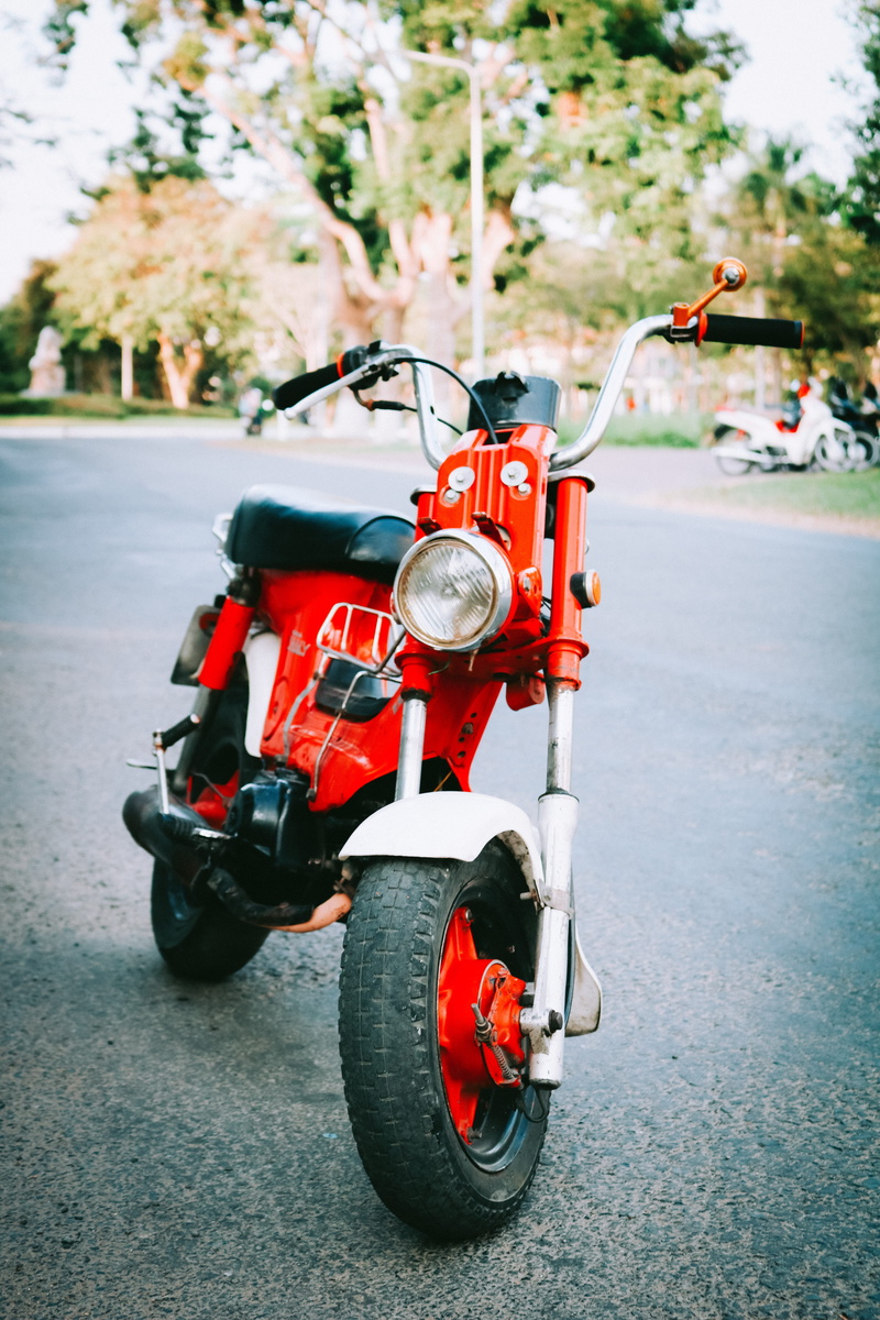 plant, wheel, Honda, road, toy, mode of transportation, city, 5K, motorbike, day, transportation, outdoors, chaly, vehicle, motorcycle, transportation system