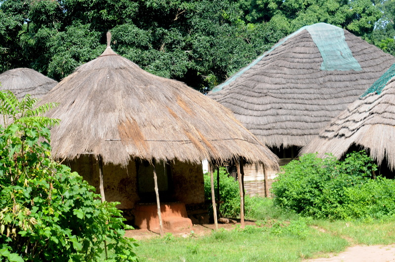 home, guinea, outdoors, Address, built structure, ecology, dom, flying, house, growth, thatched roof, Africa, Bissau, roof, forest, tranquility, nature