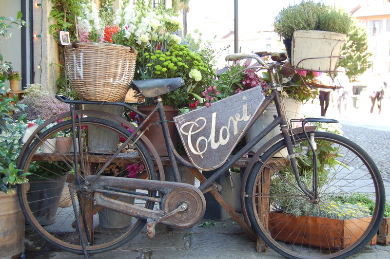 bike, bicycle, basket, container, flower, pot, mode of transportation, plants, no people, absence, outdoors, mode of transport, wheel, 2K, land vehicle